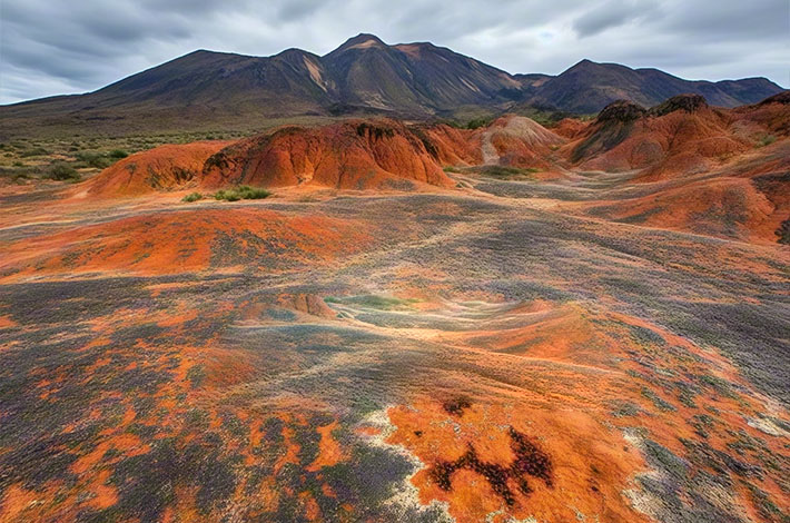 土壤重金屬污染
