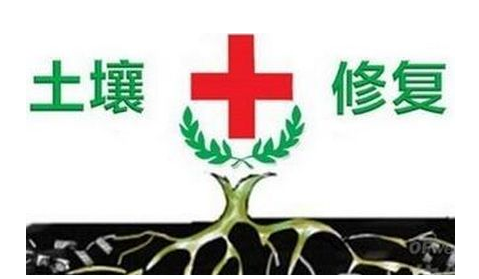 土壤污染防治與土壤修復(fù)